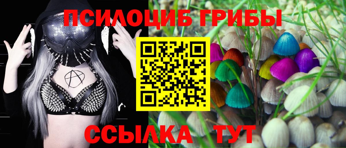 Псилоцибиновые грибы Psilocybe  Вход с VPN  Шадринск  Галлюциногенные грибы Magic Shrooms 